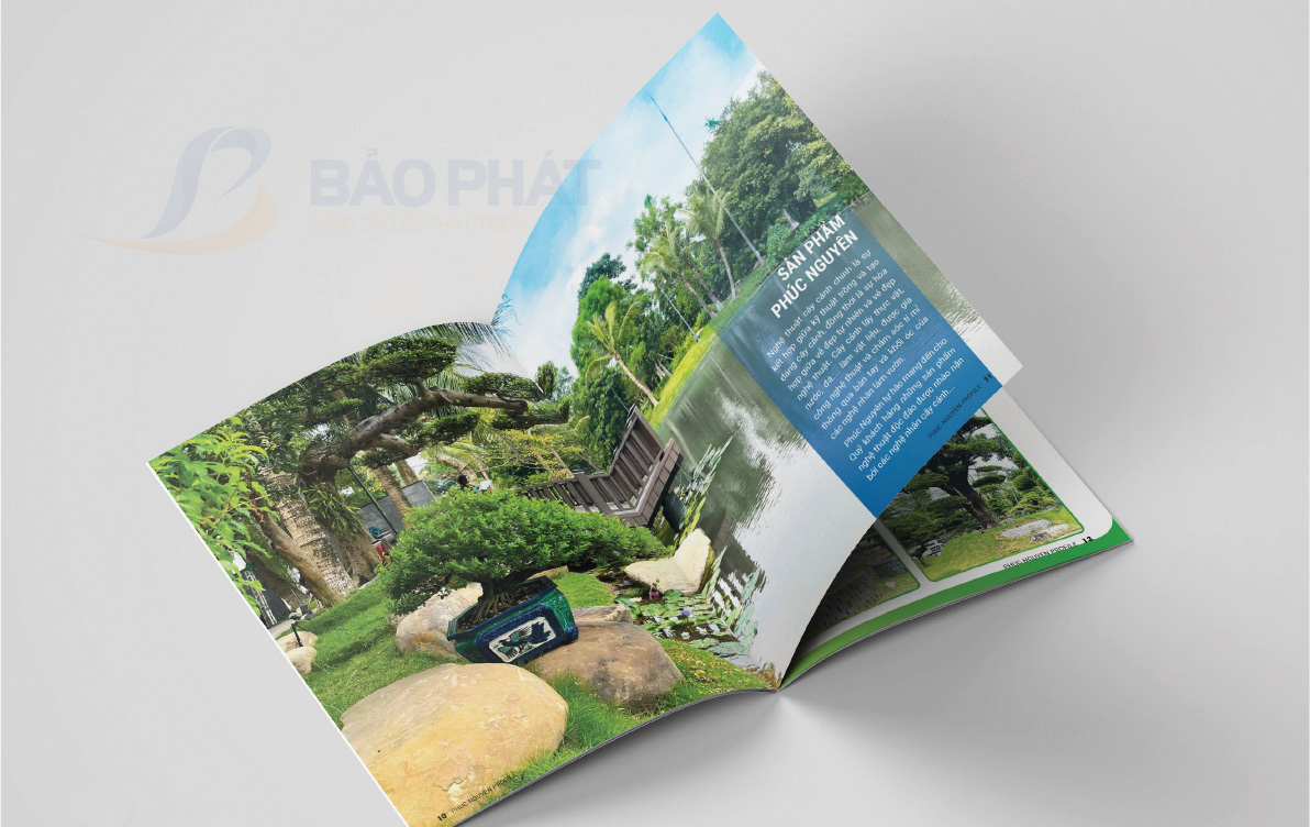 Sản phẩm cây xanh đã thi công