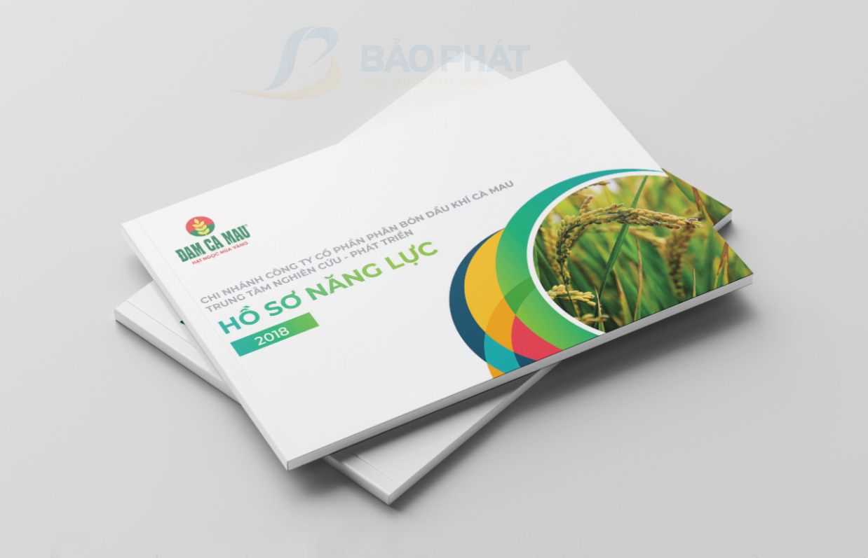 in hồ sơ năng lực công ty đạm cà mau