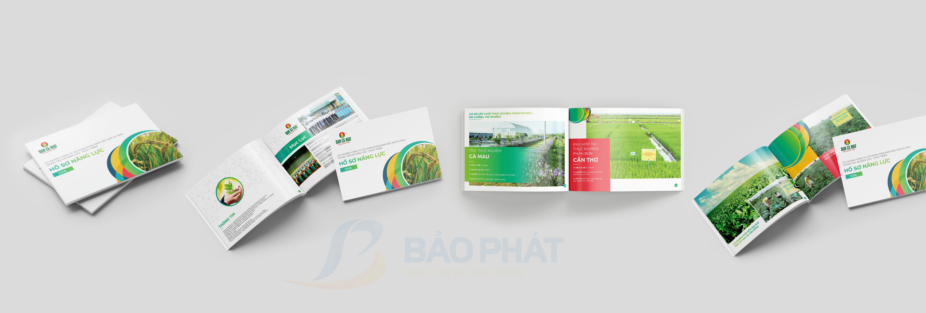 Thiết kế Profile dự án đạm cà mau