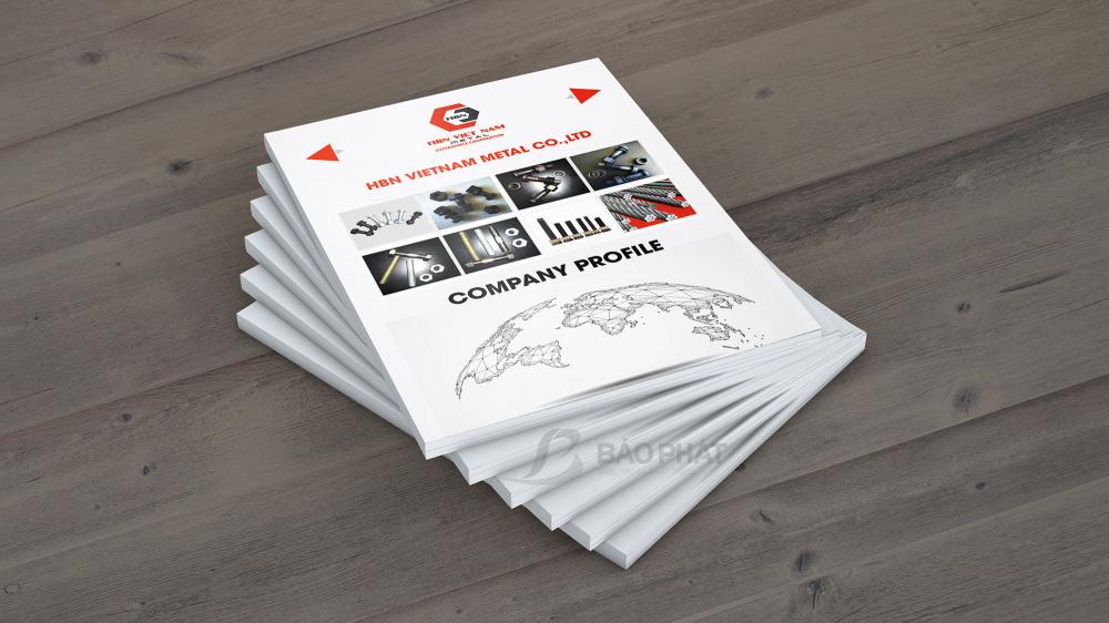 Giới Thiệu Hồ Sơ Năng Lực/Profile Công Ty Cơ Khí Chế Tạo HNB