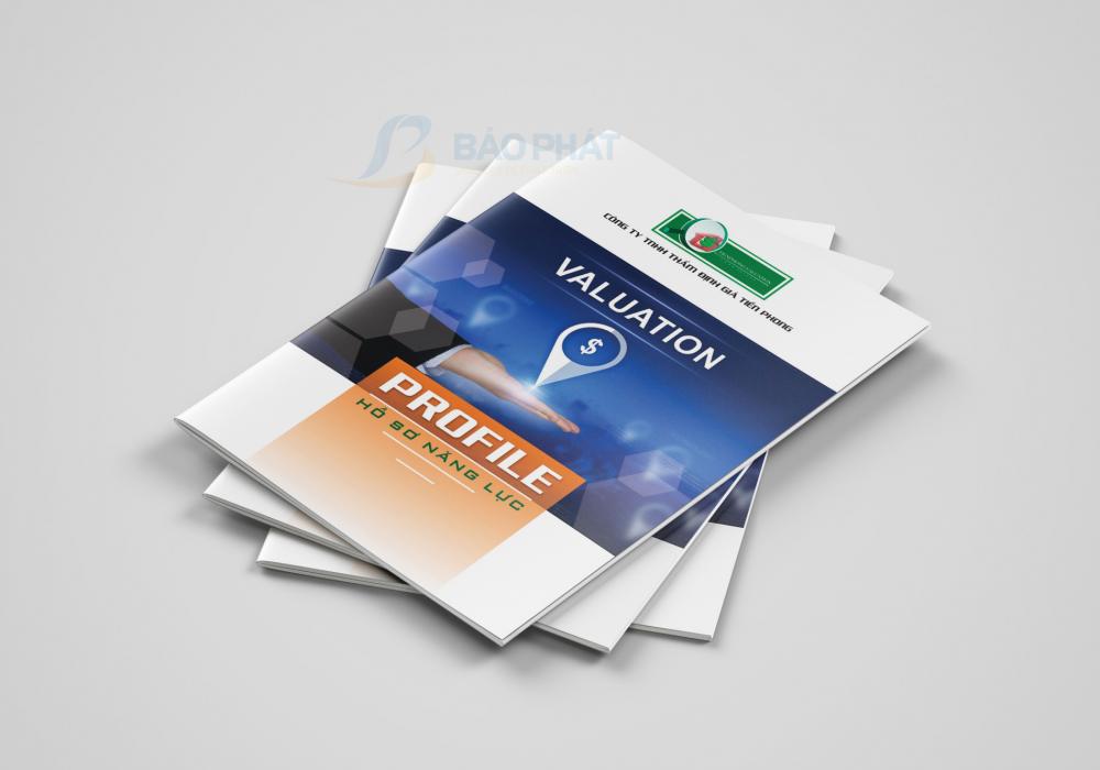Mẫu Hồ Sơ Năng Lực/Profile Công Ty Thẩm Định Giá TP – Nâng Tầm Thương Hiệu