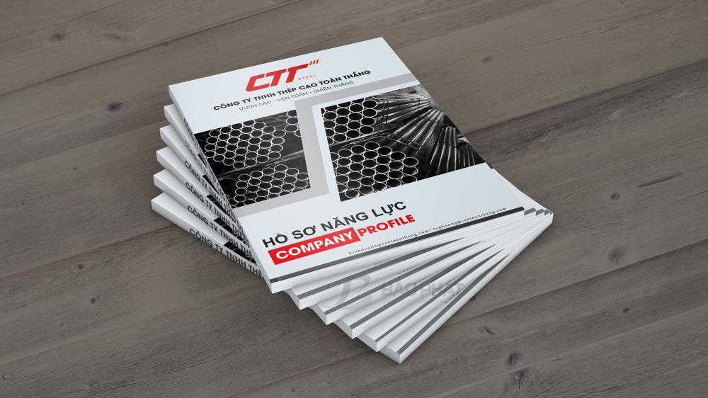 Mẫu Hồ Sơ Năng Lực/Profile Công ty Sắt Thép TT - Dịch Vụ Thiết Kế Hồ Sơ Profile Công Ty Kinh Doanh Sắt Thép