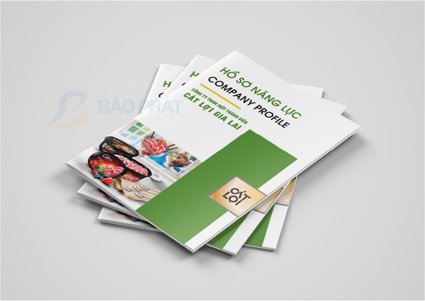Mẫu Hồ Sơ Năng Lực/Profile Công Ty Bánh Kẹo CT | Giới Thiệu Doanh Nghiệp Uy Tín Ngành Thực Phẩm
