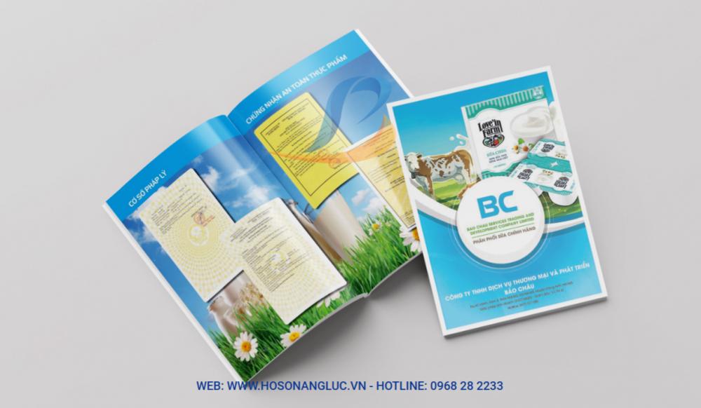 MẪU HỒ SƠ NĂNG LỰC/PROFILE CÔNG TY KINH DOANH SỮA  BẢO CHÂU